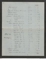 Nachlass Franz Steindachner, Brief und Beilage (Verzeichnis) von Gustav Schneider (senior) an Franz Steindachner (11.08.1882), Inv.Nr. 461.29, Seite 12